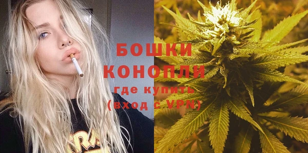 гашик Аркадак