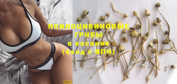 крисы Алексин