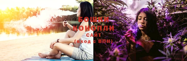 гашик Аркадак